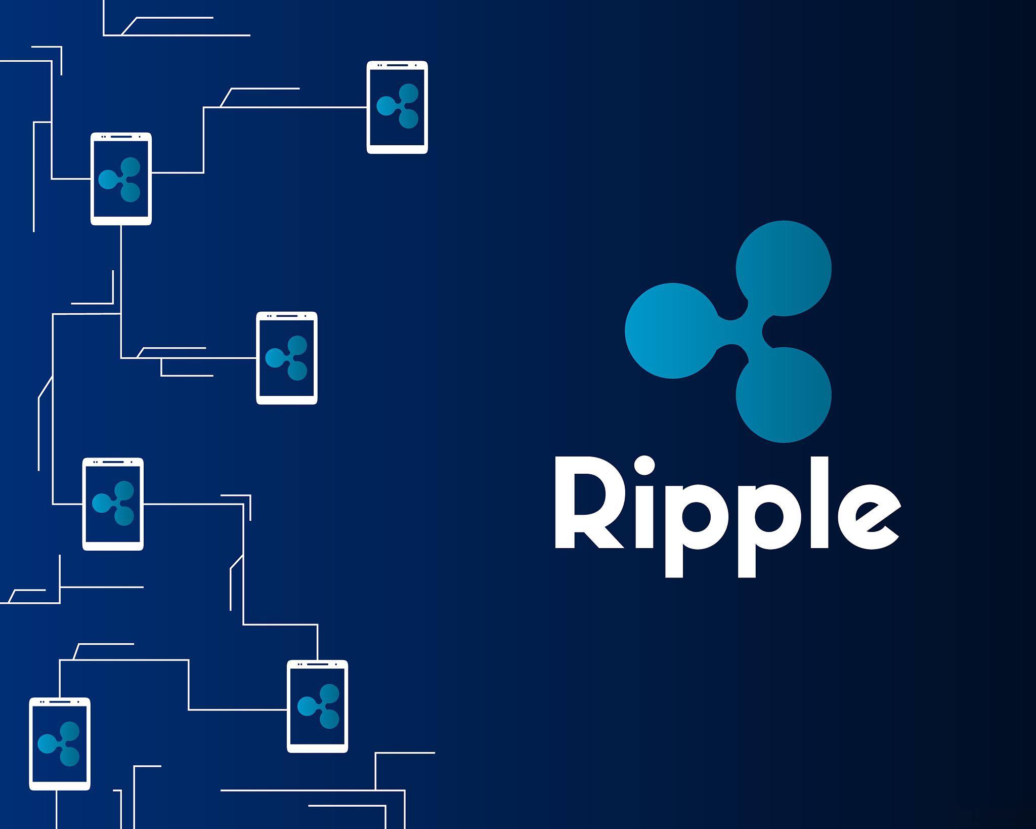 Ripple首席技术官揭秘，未来驱动XRP价值的关键因素